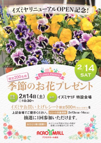 イズミヤリニューアルOPEN記念！季節のお花プレゼント